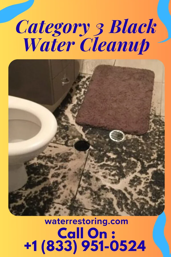 Category 3 Black Water Cleanup in Telluride, CO