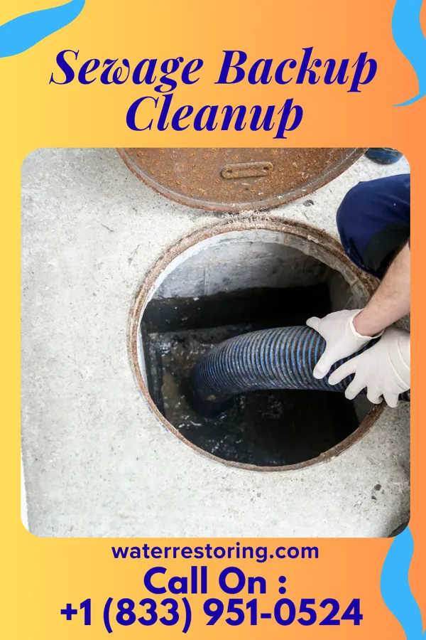 Sewage Backup Cleanup in Telluride, CO